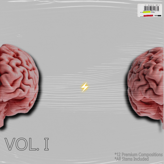 Scatter Brain Compositions Vol. 1 // Syncere Sounds x FE